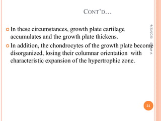  In these circumstances, growth plate cartilage
accumulates and the growth plate thickens.
 In addition, the chondrocytes of the growth plate become
disorganized, losing their columnar orientation with
characteristic expansion of the hypertrophic zone.
CONT’D…
4/23/2023
31
Getnet
A.
 