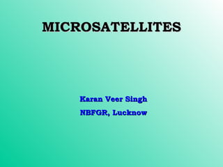 MICROSATELLITESMICROSATELLITES
Karan Veer SinghKaran Veer Singh
NBFGR, LucknowNBFGR, Lucknow
 