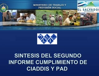 SINTESIS DEL SEGUNDO
INFORME CUMPLIMIENTO DE
      CIADDIS Y PAD
 