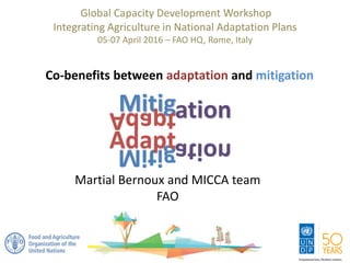 Mitigation
Co-benefits between adaptation and mitigation
Global Capacity Development Workshop
Integrating Agriculture in National Adaptation Plans
05-07 April 2016 – FAO HQ, Rome, Italy
Martial Bernoux and MICCA team
FAO
 