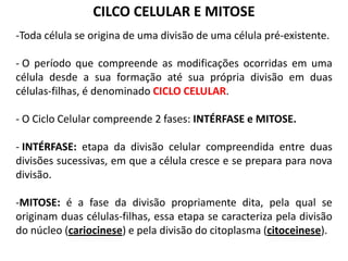 CILCO CELULAR E MITOSE
-Toda célula se origina de uma divisão de uma célula pré-existente.

- O período que compreende as modificações ocorridas em uma
célula desde a sua formação até sua própria divisão em duas
células-filhas, é denominado CICLO CELULAR.

- O Ciclo Celular compreende 2 fases: INTÉRFASE e MITOSE.

- INTÉRFASE: etapa da divisão celular compreendida entre duas
divisões sucessivas, em que a célula cresce e se prepara para nova
divisão.

-MITOSE: é a fase da divisão propriamente dita, pela qual se
originam duas células-filhas, essa etapa se caracteriza pela divisão
do núcleo (cariocinese) e pela divisão do citoplasma (citoceinese).
 