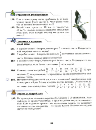 6 m m | PDF