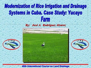 Modernization of Rice Irrigation and Drainage Systems in Cuba. Case Study: Yucayo Farm 40th International Course on Land Drainage By:  José A.  Rodríguez Alvarez 