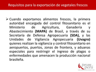  Cuando exportamos alimentos frescos, la primera
autoridad encargada del control fitosanitario es el
Ministerio de Agricultura, Ganadería y
Abastecimiento (MAPA) de Brasil, a través de su
Secretaría de Defensa Agropecuaria (SDA), y las
Unidades de Vigilancia Agropecuaria (Uvagro)
quienes realizan la vigilancia y control fitosanitario en
aeropuertos, puertos, zonas de frontera, y aduanas
especiales para restringir el ingreso de plagas o
enfermedades que amenacen la producción nacional
brasileña.
Requisitos para la exportación de vegetales frescos
 