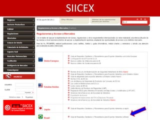 SIICEX
 
