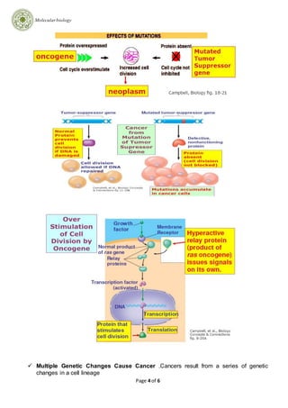 Molecular biology of cancer | DOC