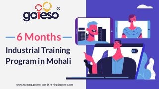 www.training.goteso.com | training@goteso.com
6 Months
Industrial Training
Program in Mohali
Program
 