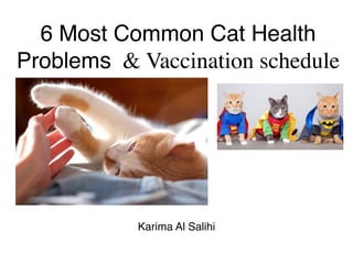 6 Most Common Cat Health
Problems & Vaccination schedule
Karima Al Salihi
 