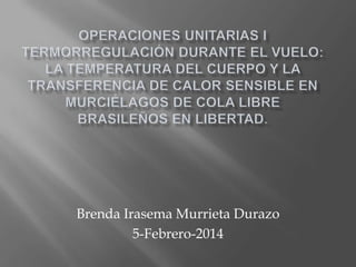 Brenda Irasema Murrieta Durazo
5-Febrero-2014

 