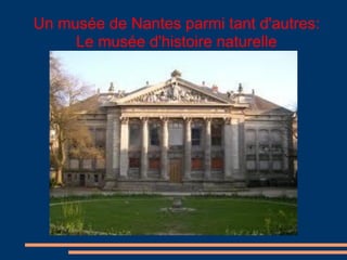 Un musée de Nantes parmi tant d'autres:
Le musée d'histoire naturelle
 