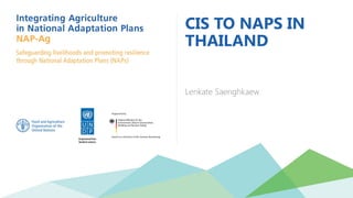 CIS TO NAPS IN
THAILAND
Lenkate Saenghkaew
 