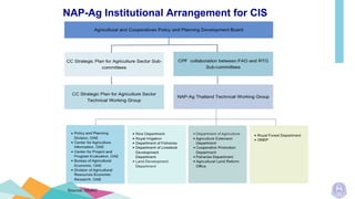 NAP-Ag Institutional Arrangement for CIS
 