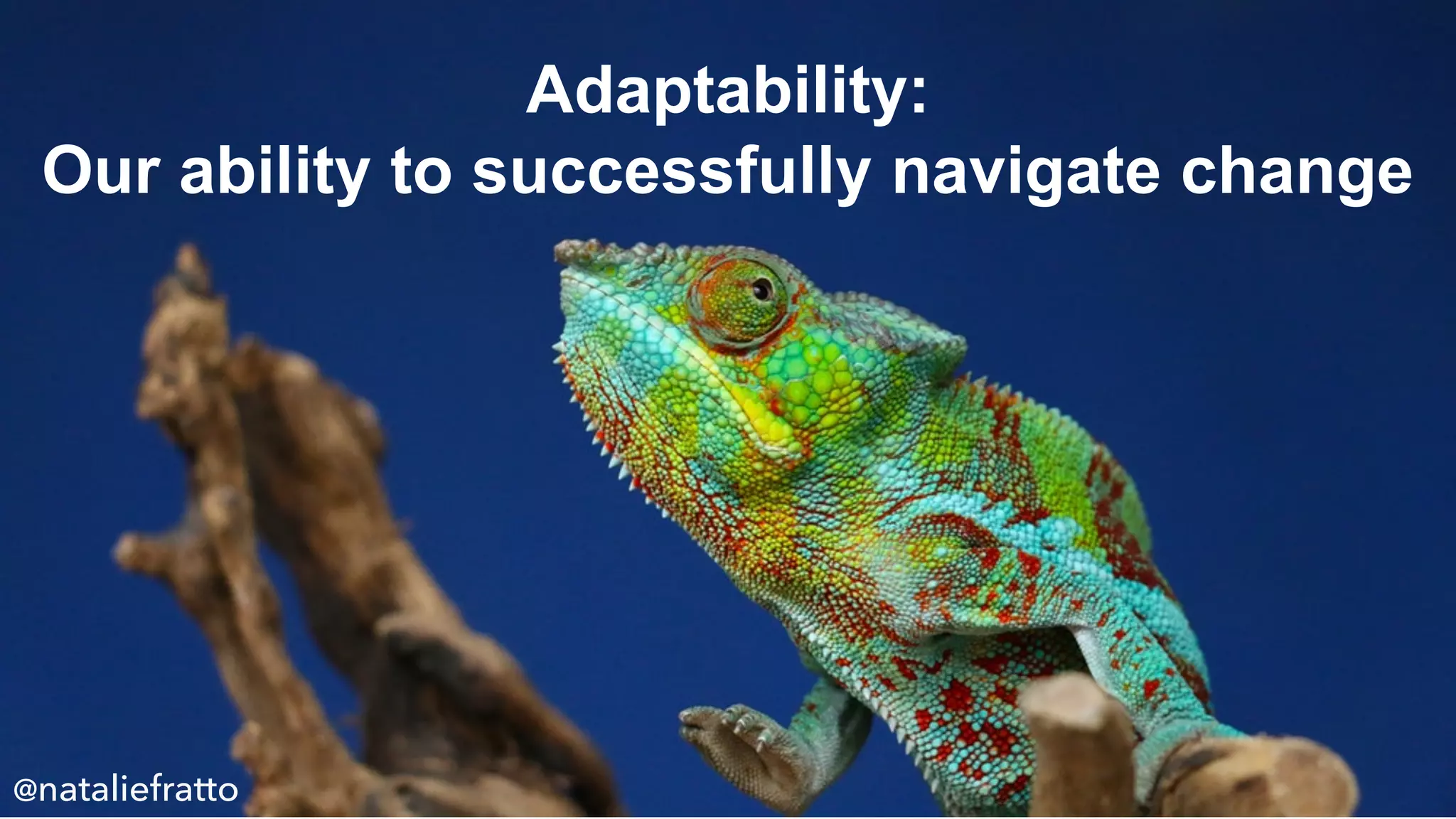 Adaptability:
Our ability to successfully navigate change
@nataliefratto
 