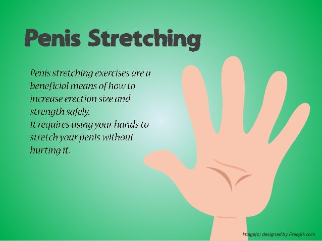 Does testosterone increase your penis