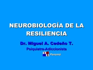 NEUROBIOLOGÍA DE LA RESILIENCIA Dr. Miguel A. Cedeño T. Psiquiatra-Adiccionista Panamá 