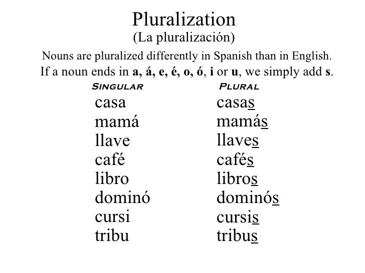 Spanish Pluralization Worksheet