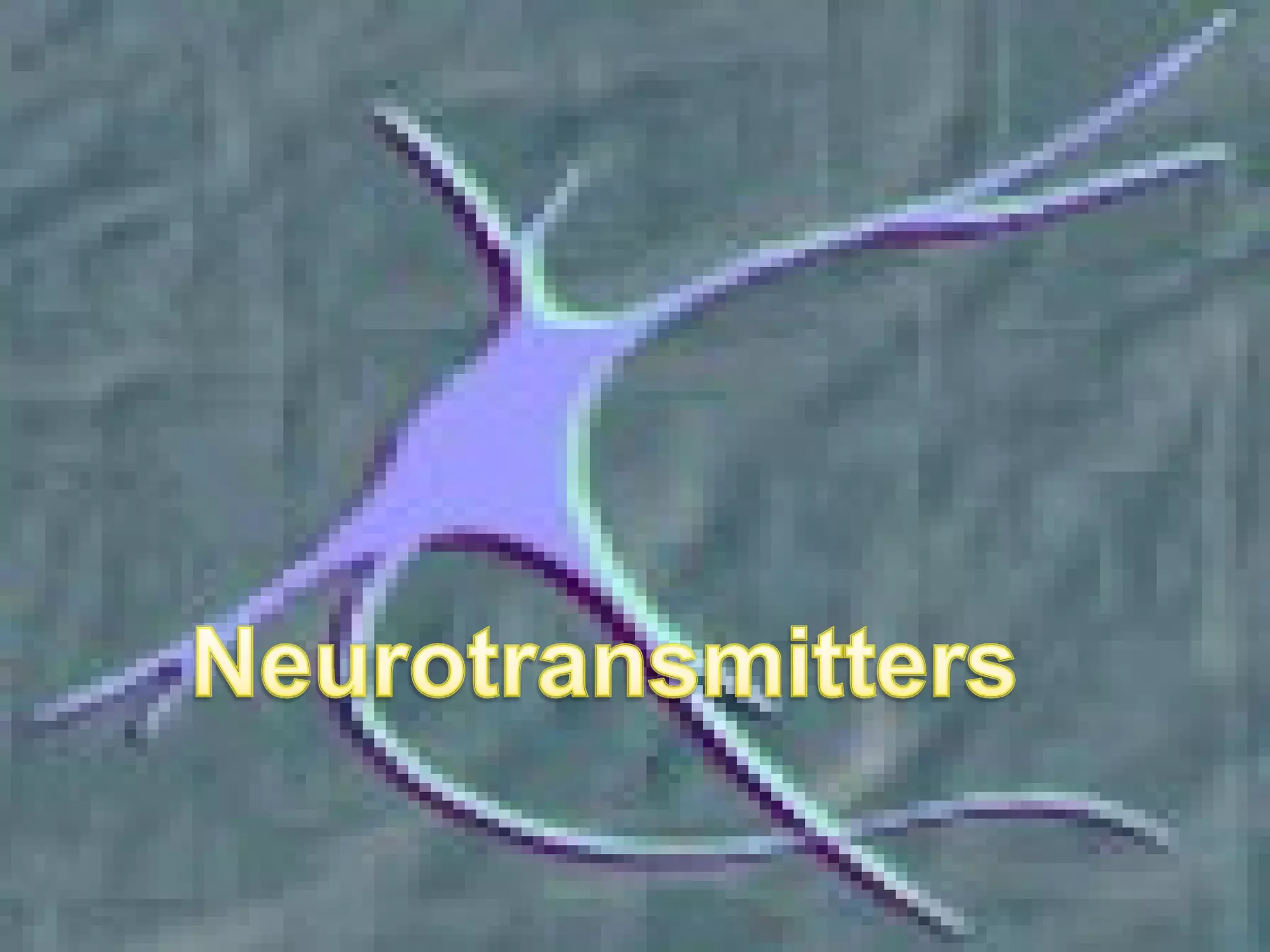 Neuron Structure And Function Ppt Neuron Structure And Function Ppt