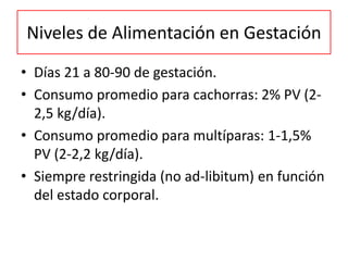 Niveles de Alimentación en Gestación
• Días 21 a 80-90 de gestación.
• Consumo promedio para cachorras: 2% PV (2-
2,5 kg/día).
• Consumo promedio para multíparas: 1-1,5%
PV (2-2,2 kg/día).
• Siempre restringida (no ad-libitum) en función
del estado corporal.
 