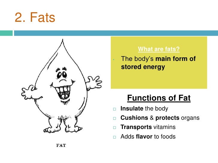 Image result for fat function