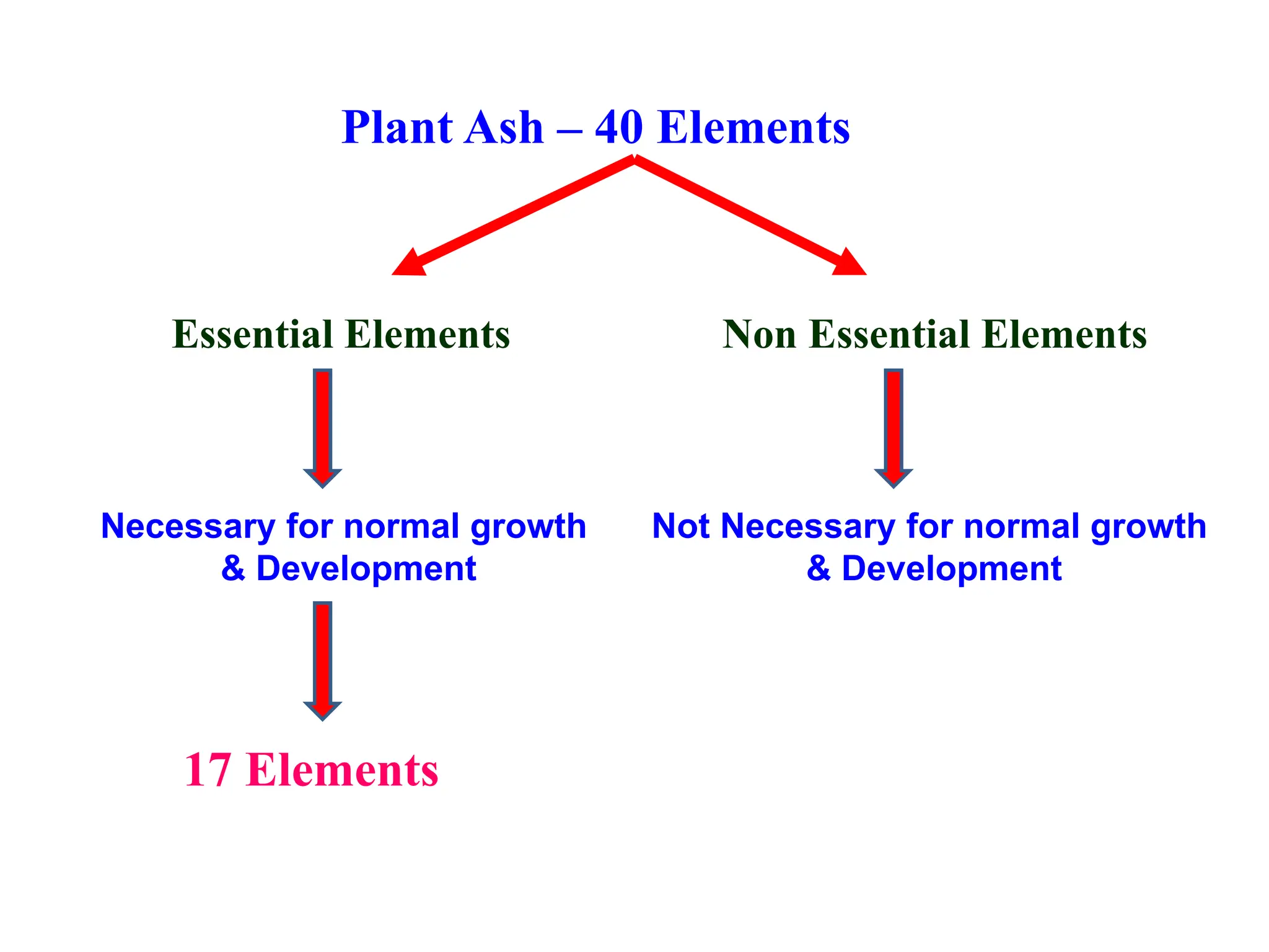 Nutrient Classification Soilless Culture Pdf
