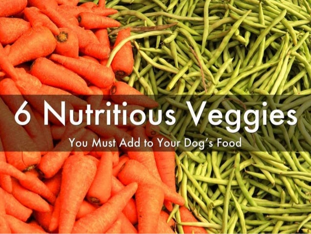 6 nutritious veggies - must add to Your dog food