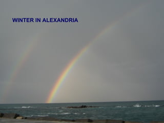 WINTER IN ALEXANDRIA
 
