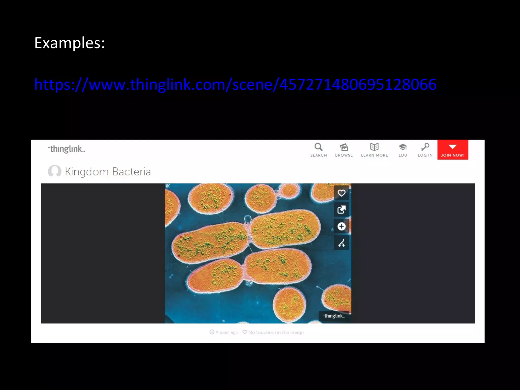 Examples:
https://www.thinglink.com/scene/457271480695128066
 