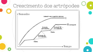 Crescimento dos artrópodes
 