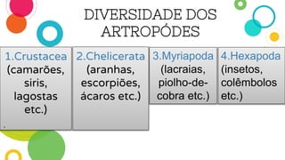 DIVERSIDADE DOS
ARTROPÓDES
1.Crustacea
(camarões,
siris,
lagostas
etc.)
.
2.Chelicerata
(aranhas,
escorpiões,
ácaros etc.)
3.Myriapoda
(lacraias,
piolho-de-
cobra etc.)
4.Hexapoda
(insetos,
colêmbolos
etc.)
 