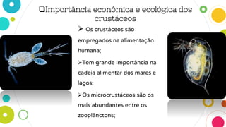 Importância econômica e ecológica dos
crustáceos
 Os crustáceos são
empregados na alimentação
humana;
Tem grande importância na
cadeia alimentar dos mares e
lagos;
Os microcrustáceos são os
mais abundantes entre os
zooplânctons;
 