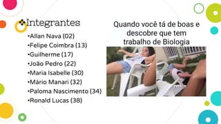 Integrantes
•Allan Nava (02)
•Felipe Coimbra (13)
•Guilherme (17)
•João Pedro (22)
•Maria Isabelle (30)
•Mário Manari (32)
•Paloma Nascimento (34)
•Ronald Lucas (38)
 