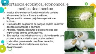 Importância ecológica, econômica, e
medica dos insetos
 Insetos são elementos fundamentais de cadeias
alimentares de terra firme e aquáticas;
 Alguns insetos causam prejuízos a pecuária e
lavoura;
 Os mosquitos sugadores de sangue podem transmitir
doenças á humanos e animais;
 Abelhas, vespas, besouros e outros insetos são
importantes agente polinizadores;
 São usados nas industrias como o bicho-da-seda que
produz a seda, a abelha que produz mel e a
cochonilha que é usada para fazer corantes;
 Os insetos são importantes na ajuda á
decomposição.
 