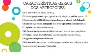 CARACTERÍSTICAS GERAIS
DOS ARTRÓPODES
◎É o maior filo do reino animal;
◎Vem do grego artro, que significa articulação, e podos, patas;
◎São animais triblásticos, celomados, com simetria bilateral;
◎Sistema digestório completo e corpo segmentado (metameria);
◎Tagmas: fusão de metâmeros;
◎Cefalotórax: fusão dos metâmeros anteriores e intermediários;
◎Tronco: fusão de metâmeros intermediários e posteriores.
◎Rigidez e Impermeabilidade.
◎Exoesqueleto externo constituído por quitina, um polissacarídeo.
◎A presença de patas articuladas.
 