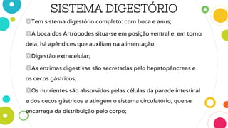 SISTEMA DIGESTÓRIO
◎Tem sistema digestório completo: com boca e anus;
◎A boca dos Artrópodes situa-se em posição ventral e, em torno
dela, há apêndices que auxiliam na alimentação;
◎Digestão extracelular;
◎As enzimas digestivas são secretadas pelo hepatopâncreas e
os cecos gástricos;
◎Os nutrientes são absorvidos pelas células da parede intestinal
e dos cecos gástricos e atingem o sistema circulatório, que se
encarrega da distribuição pelo corpo;
 