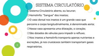 SISTEMA CIRCULATÓRIO
◎Sistema Circulatório aberto, ou lacunar;
◎Hemolinfa: “Sangue” dos insetos;
◎O vaso dorsal nos insetos é um grande vaso que
percorre o corpo longitudinalmente, é denominado aorta;
◎Nesse vaso apresenta uma dilatação, o coração;
◎São dotados de válvulas para impedir o refluxo;
◎Nos insetos a hemolinfa transporta apenas nutrientes e
excreções, já nos crustáceos também transportam gases
respiratórios.
 