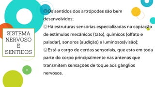 ◎Os sentidos dos artrópodes são bem
desenvolvidos;
◎Há estruturas sensórias especializadas na captação
de estímulos mecânicos (tato), químicos (olfato e
paladar), sonoros (audição) e luminosos(visão);
◎Está a cargo de cerdas sensoriais, que esta em toda
parte do corpo principalmente nas antenas que
transmitem sensações de toque aos gânglios
nervosos.
SISTEMA
NERVOSO
E
SENTIDOS
 