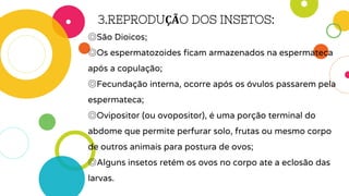 3.REPRODUÇÃO DOS INSETOS:
◎São Dioicos;
◎Os espermatozoides ficam armazenados na espermateca
após a copulação;
◎Fecundação interna, ocorre após os óvulos passarem pela
espermateca;
◎Ovipositor (ou ovopositor), é uma porção terminal do
abdome que permite perfurar solo, frutas ou mesmo corpo
de outros animais para postura de ovos;
◎Alguns insetos retém os ovos no corpo ate a eclosão das
larvas.
 