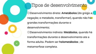 Tipos de desenvolvimento
◎Desenvolvimento direto: Ametábolos (do grego a,
negação; e metabole, transformar), quando não há
grandes transformações durante o
desenvolvimento;
◎Desenvolvimento indireto: Metábolos, quando há
transformações durante o desenvolvimento ate a
forma adulta. Podem ser holometábolos ; de
metamorfose completa.
 