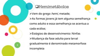 Hemimetábolos
Vem do grego hemi, metade;
As formas jovens já tem alguma semelhança
como adulto e essa semelhança se acentua a
cada ecdise;
Estágios de desenvolvimento: Ninfas
Mudança da fase adulta para larval
gradualmente é denominado metamorfose
incompleta
 