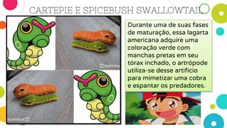 CARTEPIE E SPICEBUSH SWALLOWTAIL
Durante uma de suas fases
de maturação, essa lagarta
americana adquire uma
coloração verde com
manchas pretas em seu
tórax inchado, o artrópode
utiliza-se desse artifício
para mimetizar uma cobra
e espantar os predadores.
 