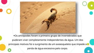 Os artrópodes foram o primeiro grupo de invertebrados que
puderam viver completamente independentes da água. Um dos
principais motivos foi o surgimento de um exoesqueleto que impede a
perda de água excessiva pelo corpo.
 