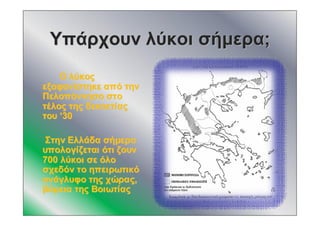 ΥπάρχουνΥπάρχουν λύκοιλύκοι σήμερασήμερα;;
ΟΟ λύκοςλύκος
εξαφανίστηκεεξαφανίστηκε απόαπό τηντην
ΠελοπόννησοΠελοπόννησο στοστο
τέλοςτέλος τηςτης δεκαετίαςδεκαετίας
τουτου ‘‘3030
ΣτηνΣτην ΕλλάδαΕλλάδα σήμερασήμερα
υπολογίζεταιυπολογίζεται ότιότι ζουνζουν
700700 λύκοιλύκοι σεσε όλοόλο
σχεδόνσχεδόν τοτο ηπειρωτικόηπειρωτικό
ανάγλυφοανάγλυφο τηςτης χώραςχώρας,,
βόρειαβόρεια τηςτης ΒοιωτίαςΒοιωτίας
 