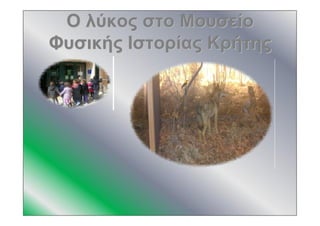ΟΟ λύκοςλύκος στοστο ΜουσείοΜουσείο
ΦυσικήςΦυσικής ΙστορίαςΙστορίας ΚρήτηςΚρήτης
 