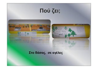 ΠούΠού ζειζει;;
Στο δάσος, σε αγέλες
 
