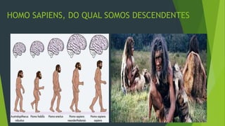HOMO SAPIENS, DO QUAL SOMOS DESCENDENTES
 