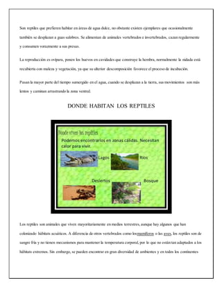 Son reptiles que prefieren habitar en áreas de agua dulce, no obstante existen ejemplares que ocasionalmente
también se desplazan a guas salobres. Se alimentan de animales vertebrados e invertebrados, cazan regularmente
y consumen vorazmente a sus presas.
La reproducción es ovípara, ponen los huevos en cavidades que construye la hembra, normalmente la nidada está
recubierta con maleza y vegetación, ya que su ulterior descomposición favorece el proceso de incubación.
Pasan la mayor parte del tiempo sumergido en el agua, cuando se desplazan a la tierra, sus movimientos son más
lentos y caminan arrastrando la zona ventral.
DONDE HABITAN LOS REPTILES
Los reptiles son animales que viven mayoritariamente en medios terrestres,aunque hay algunos que han
colonizado hábitats acuáticos. A diferencia de otros vertebrados como losmamíferos o las aves, los reptiles son de
sangre fría y no tienen mecanismos para mantener la temperatura corporal, por lo que no están tan adaptados a los
hábitats extremos. Sin embargo, se pueden encontrar en gran diversidad de ambientes y en todos los continentes
 