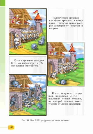 Если в организм попадает
ВИЧ, он инфицирует и уби­
вает клетки иммунитета.
Человеческий организм —
как будто крепость, а имму­
нитет — могучая армия, кото­
рая защищает от микробов и
вирусов.
Когда иммунитет разру­
шен, начинается СПИД
последняя стадия болезни,
на которой человек может
умереть от любой инфекции.
Рис. 35. Как ВИЧ разрушает организм человека
102
 