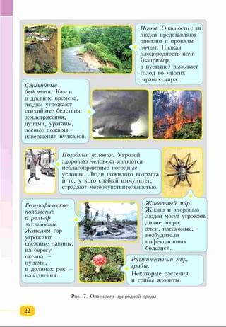 Почва. Опасность для
людей представляют
оползни п провалы
почвы. Низкая
плодородность почв
(например,
в пустыне) вызывает
голод во многих
странах мира.
Погодные условия. Угрозой
здоровью человека являются
неблагоприятные погодиые
условия. Люди пожилого возраста
и те, у кого слабый иммунитет,
страдают метеочувствительностью.
V________________________ J
/7{.ивотный мир.
Жизни и здоровью
людей могут угрожать
дикие звери,
змеи, насекомые,
возбудители
инфекционных
болезней.
Растителъный мир,
грибы.
11екоторые растения
и грибы ядовиты.
г 1
Стихийные
бедствия. Как и
в древние времена,
людям угрожают
стихийные бедств11я :
землетрясения,
цунами, ураганы,
лесные пожары,
изверже1шя вул капов.
_____________________У
Географическое
положение
и рельеф
местности.
Жителям гор
угрожают
снежные лавины,
на берегу
океана -
цунами,
в долинах рек —
наводнения.
ч________________)
Рис. 7. Опасности природной среды
 