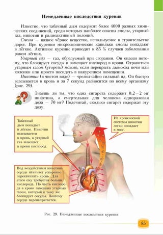 Немедленные последствия курения
Известно, что табачный дым содержит более 4000 разных хими­
ческих соединений, среди которых наиболее опасны смолы, угарный
газ, никотин и радиоактивный полоний.
Смола — вязкое чёрное вещество, используемое в строительстве
дорог. При курении микроскопические капельки смолы попадают
в лёгкие. Активное курение приводит к 85 % случаев заболевания
раком лёгких.
Угарный газ газ, образуемый при сгорании. Он опасен пото­
му, что блокирует сосуды и замещает кислород в крови. Отравиться
угарным газом (угореть) можно, если перекрыть дымоход печи или
колонки или просто посидеть в накуренном помещении.
Никотин (в чистом виде) чрезвычайно сильный яд. Он быстро
всасывается в кровь и за 7 секунд разносится по всему организму
(рис. 29).
Знаешь ли ты, что одна сигарета содержит 0,2 —2 мг
никотина, а смертельная для человека одноразовая
доза — 70 мг? Подсчитай, сколько сигарет содержат эту
дозу.
Под воздействием
сердце начинает
перекачивать
этого ему
кислорода. Но часть кислоро­
да в крови замещена угарным
газом, который к тому же
блокирует сосуды. Поэтому
сердце перенапрягается.
Табачный
дым попадает
в лёгкие. Никотин
всасывается
в кровь, а угарный
газ замещает
в крови кислород.
Из кровеносной
системы никотин
легко попадает
в мозг.
Рис. 29. Немедленные последствия курения
 