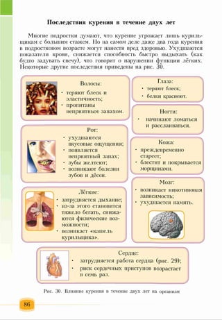 Последствия курения в течение двух лет
Многие подростки думают, что курение угрожает лишь куриль­
щикам с большим стажем. Но на самом деле даже два года курения
в подростковом возрасте могут нанести вред здоровью. Ухудшаются
показатели крови, снижается способность быстро выдыхать (как
будто задувать свечу), что говорит о нарушении функции лёгких.
Некоторые другие последствия приведены на рис. 30.
Волосы:
теряют блеск и
эластичность;
пропитаны
неприятным запахом.
Рот:
• ухудшаются
і
вкусовые ощущения;
• появляется
неприятный запах;
• зубы желтеют;
Л^ • возникают болезни
4=
зубов и дёсен.
Л
Лёгкие: *4
затрудняется дыхание;
из-за этого становится
тяжело бегать, снижа­
ются физические воз­
можности;
возникает «кашель
курильщика».
(Г
г
V.
г
Глаза:
теряют блеск;
белки краснеют.
Ногти:
начинают ломаться
и расслаиваться.
■ч
Кожа: =4
преждевременно
стареет;
блестит и покрывается
морщинами.
Мозг:
возникает никотиновая
зависимость;
ухудшается память.
Сердце:
ти /г • затрудняется работа сердца (рис. 29);
Ги • риск сердечных приступов возрастает
в семь раз.
Рис. 30. Влияние курения в течение двух лет на организм
86
 